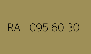 Cor RAL 095 60 30