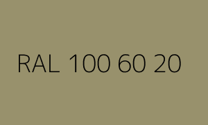 Cor RAL 100 60 20