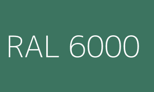 Cor RAL 6000