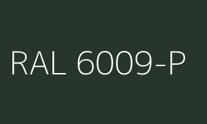 Cor RAL 6009-P